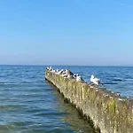 公寓 Apartament Kolobrzeg Resort 科沃布热格