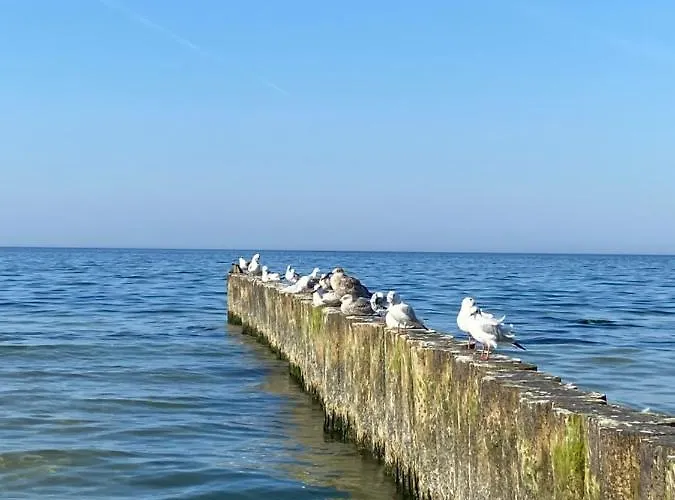 Appartement Apartament Kolobrzeg Resort Kołobrzeg