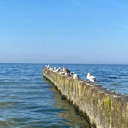 Daire Apartament Kolobrzeg Resort Kolobrzeg