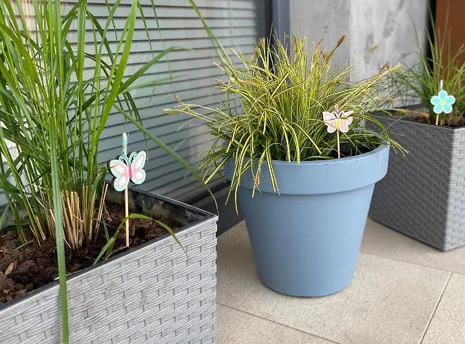 Apartment Apartament Kolobrzeg Resort